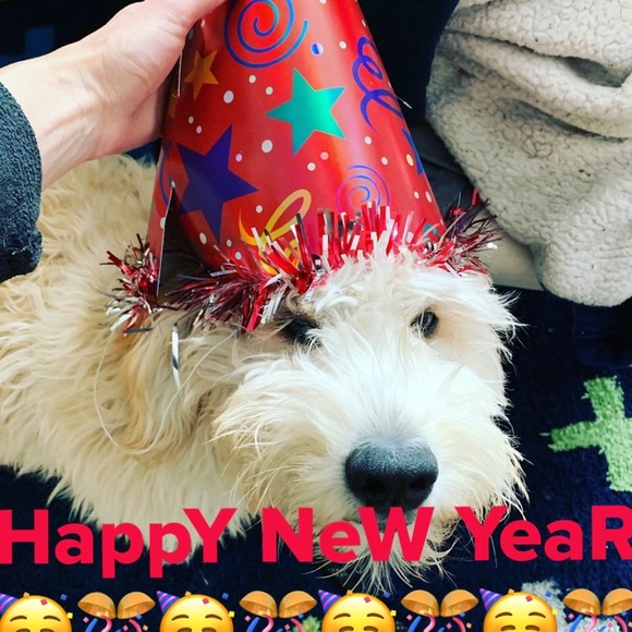 Thank You All! 500K followers ๐๐ปLike|Follow|Share FG #4 - Picture 11 of 16